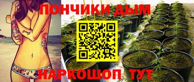 мдпв Вышний Волочёк