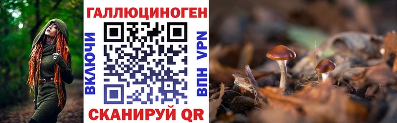 Псилоцибиновые грибы Psilocybe  Морозовск 