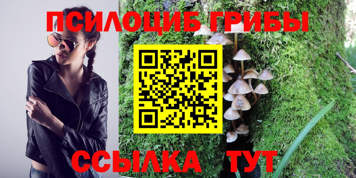 Псилоцибиновые грибы мицелий  Вход с VPN  Морозовск 